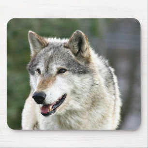 Mousepad Lobo