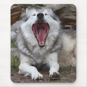 Mousepad Lobo