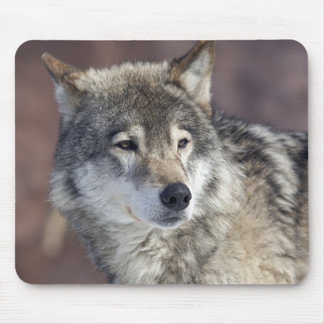 Mousepad Lobo (Frente)