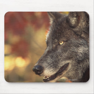 Mousepad Lobo 2