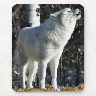Mousepad Lobo ártico