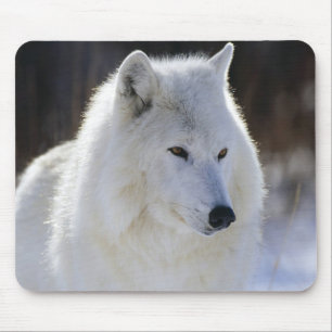 Mousepad Lobo ártico