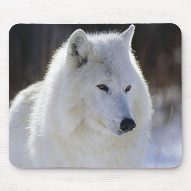 Mousepad Lobo ártico (Frente)