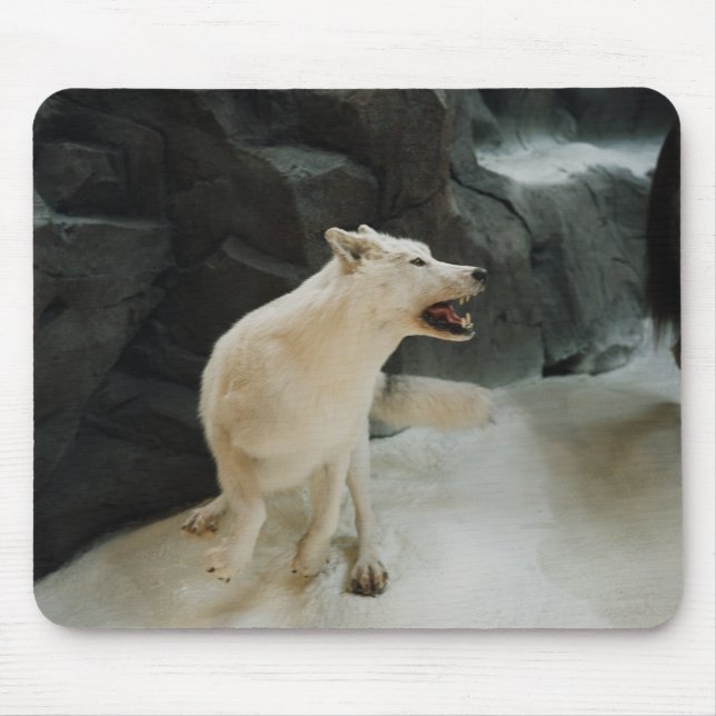 Mousepad Lobo Branco (Frente)