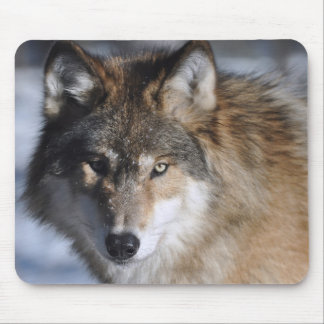 Mousepad Lobo cinzento