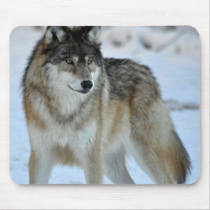 Mousepad Lobo cinzento
