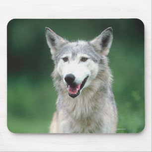 Mousepad Lobo cinzento 2