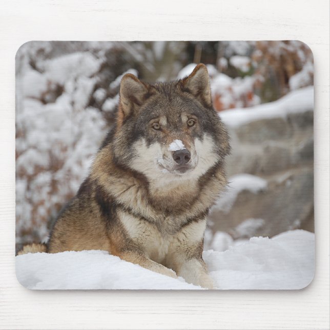 Mousepad Lobo de inverno (Frente)