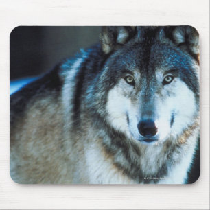 Mousepad Lobo de madeira