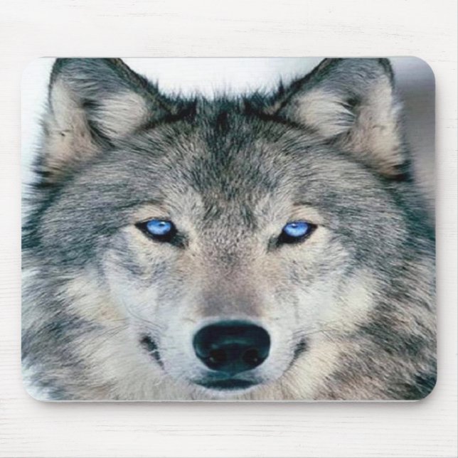 Mousepad Lobo Eyed azul (Frente)
