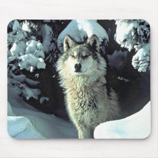 Mousepad Lobo no Olhar da Floresta de Inverno (Frente)