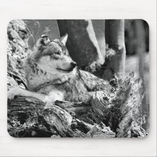 Mousepad lobo observador