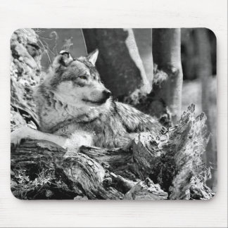 Mousepad lobo observador