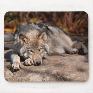 Mousepad Lobo Oriental