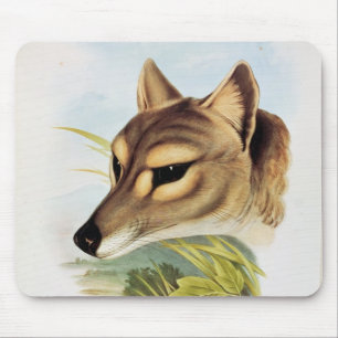 Mousepad Lobo ou tigre tasmaniano