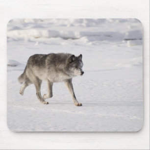 Mousepad Lobo que funciona na neve
