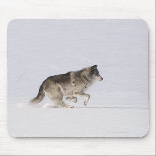 Mousepad Lobo que funciona na neve 2