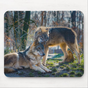 Mousepad Lobos