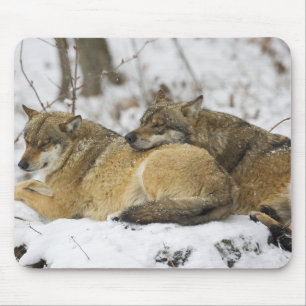 Mousepad Lobos na madeira de Bawarian