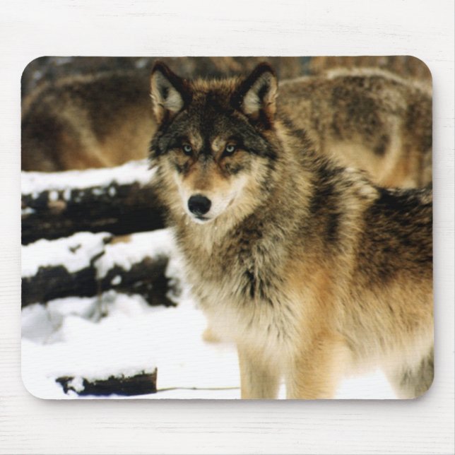 Mousepad Lobos na neve (Frente)