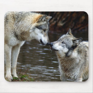 Mousepad Lobos - nariz a cheirar