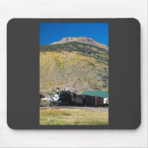 Locomotiva restaurada 315 em Silverton