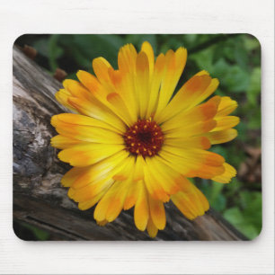 Mousepad log marigold on