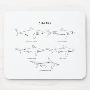 Mousepad Logotipo da espécie dos tubarões