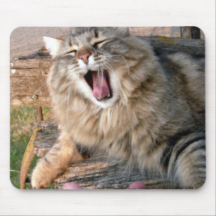 Mousepad LOL Maine Coon