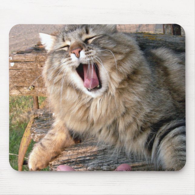 Mousepad LOL Maine Coon (Frente)