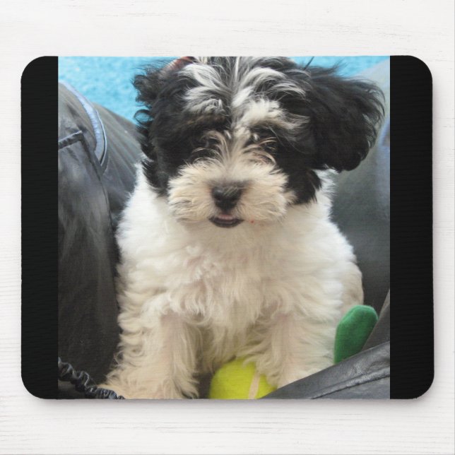Mousepad Lola um filhote de cachorro salvado de Havanese (Frente)
