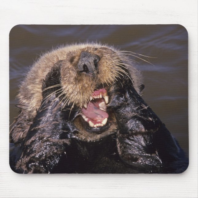 Mousepad Londras Marinhas, Enhydra lutris 6 (Frente)