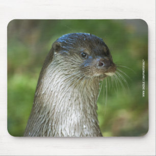 Mousepad Lontra