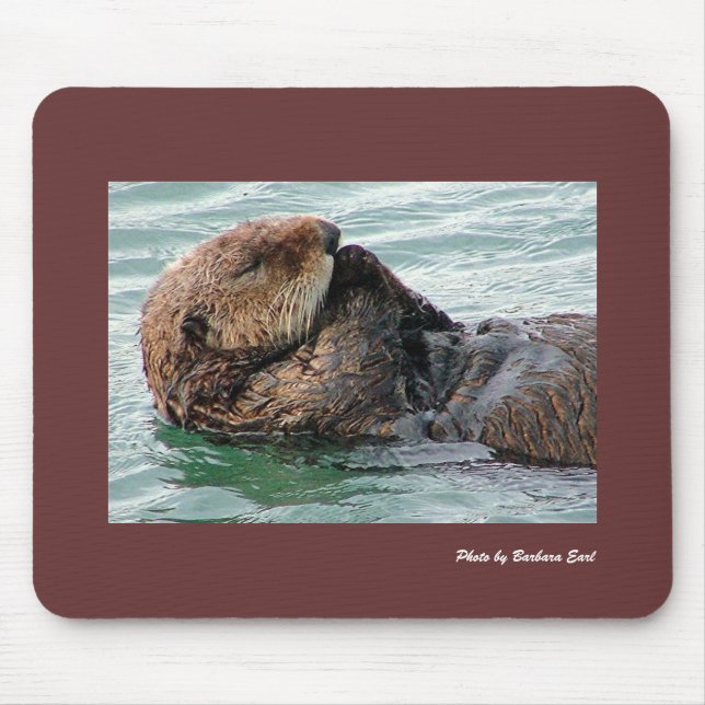 Mousepad Lontra de mar (Frente)