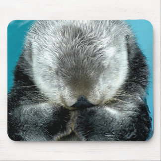 Mousepad Lontra de mar que Snoozing
