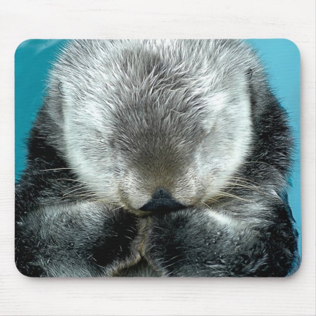 Mousepad Lontra de mar que Snoozing (Frente)