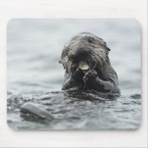Mousepad Lontra do Mar Adorável