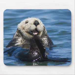 Mousepad Lontra marinha da Califórnia Enhydra lutris) se ar