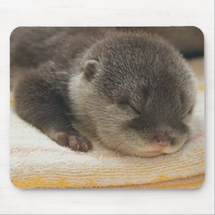 Mousepad Lontra Sonolenta