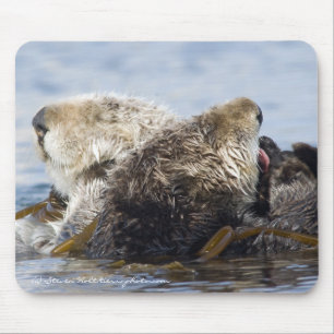 Mousepad Lontras de mar de Califórnia