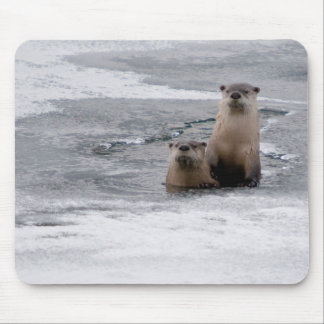 Mousepad Lontras de Yellowstone River