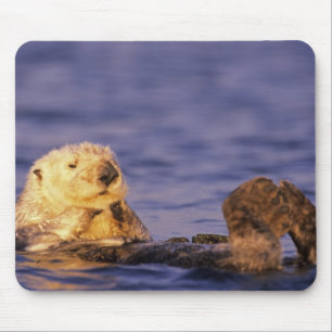 Mousepad Lontras Marinhas, Enhydra lutris 4