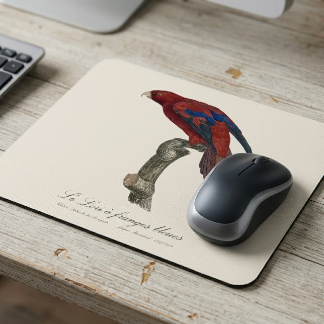 Mousepad Lório-de-cauda-vermelha, Trichoglossus borneus (Long-Tailed Red Lory, Trichoglossus borneus. Mouse Pad)