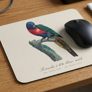 Mousepad Lorique Arco-Íris Macho, Trichoglossus Moluccanus