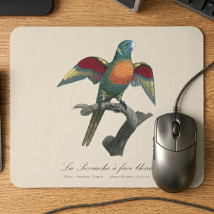 Mousepad Loriqueet Louro, Trichoglossus haematodus