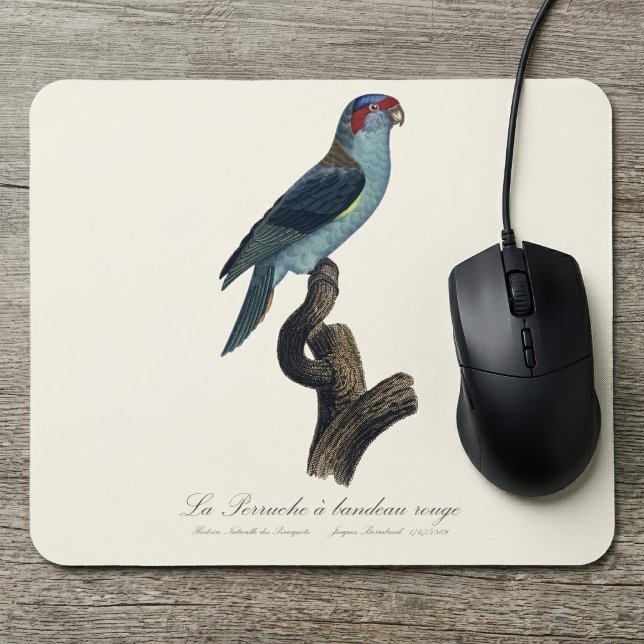 Mousepad Loriqueito-de-musk, Trichoglossus concinnus (Musk Lorikeet, Trichoglossus Concinnus. Mouse Pad)
