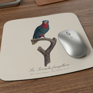 Mousepad Loriqueut de Coroa Azul, Vini Australis