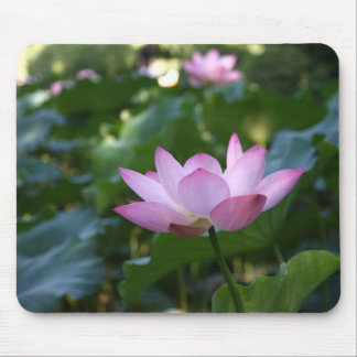Mousepad Lotus