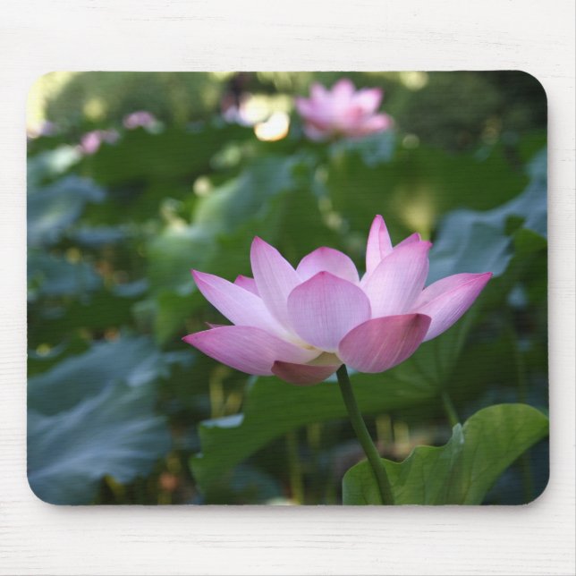 Mousepad Lotus (Frente)