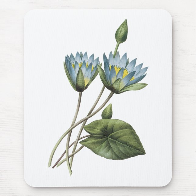 Mousepad lótus azuis (caerulea do Nymphaea) por Redouté (Frente)